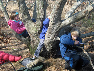 Kids at Wellfleet Bay February Vacation Week