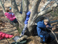 Kids at Wellfleet Bay February Vacation Week