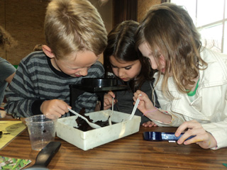 Preschool students looking through microscope