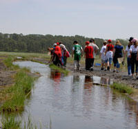 Students doing a program in the marsh at Wellfleet Bay Wildlife Sanctuary
