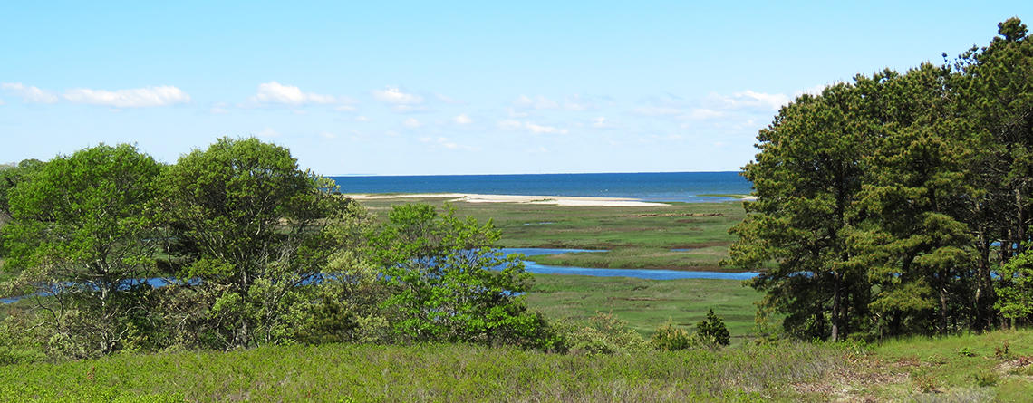 Vista from the Bay View Trail in spring at Wellfleet Bay Wildlife Sanctuary