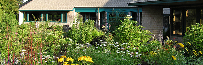 Wellfleet Bay Nature Center garden © Laura Fenn