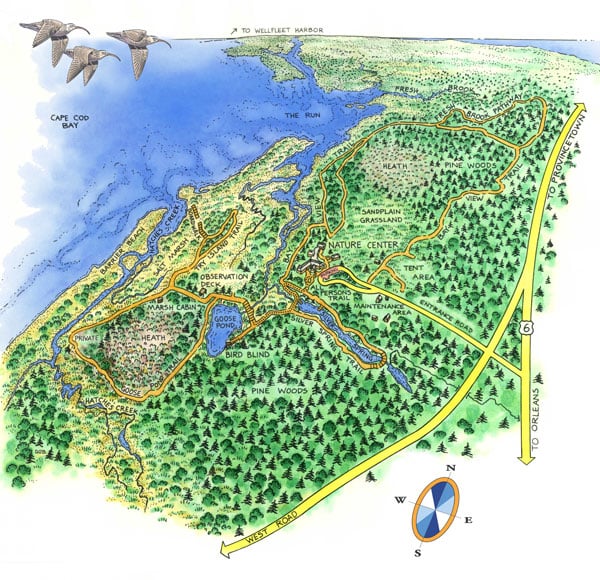 Trails in Wellfleet, Massachusetts