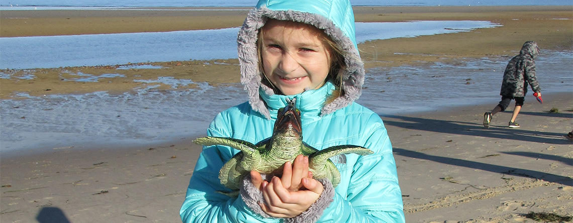 Whiteley student holding a model of a sea turtle