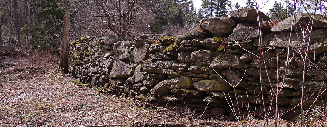 Stone wall at West Mountain Wildlife Sanctuary © Richard Johnson