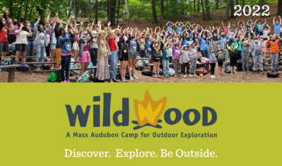Cropped image of the cover of the 2022 Wildwood Camp brochure
