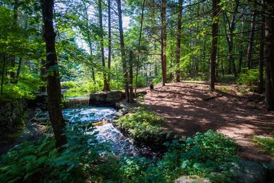 Waterfall_Gretchen Ertl (eNews Pictures)