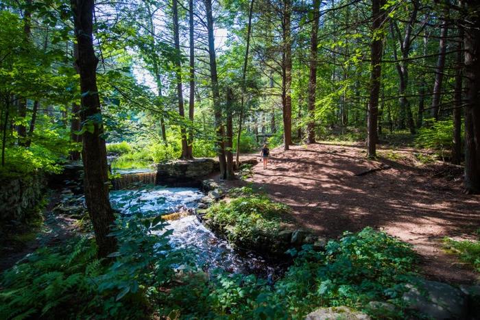 Waterfall_Gretchen Ertl (eNews Pictures)