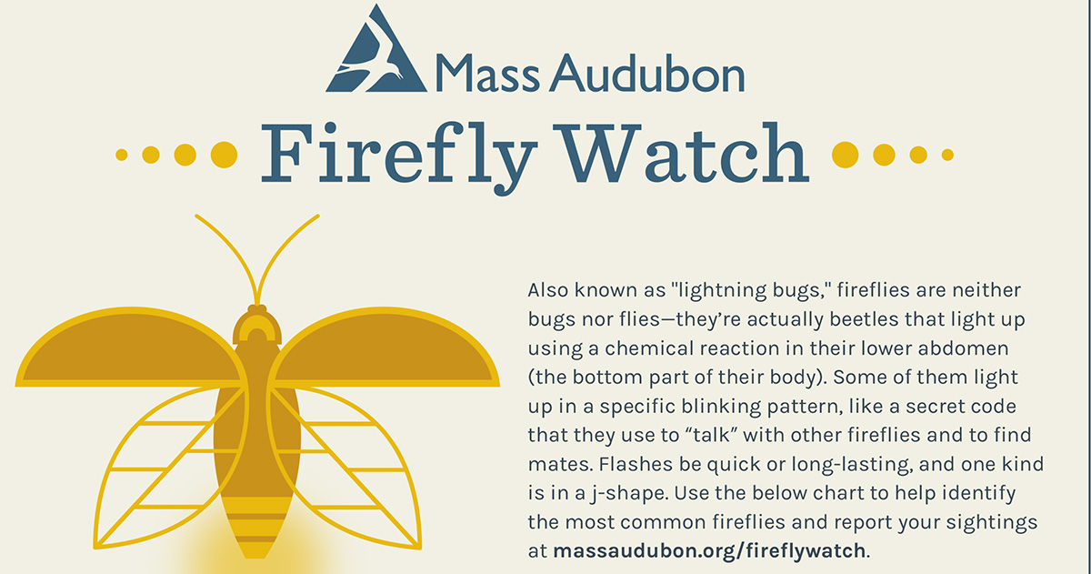 Firefly Watch Citizen Science Project