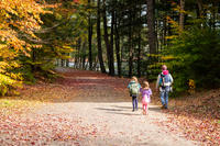 A family walking up the road toward the waterfront at Wildwood Camp, with golden and orange fall leaves all around