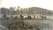 1899 
