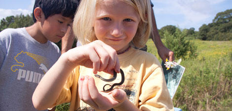 Girl holding at garter snake