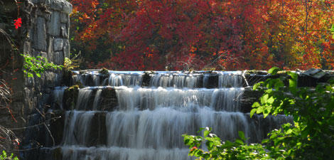 Waterfall at Mass Audubon Stony Brook Wildlife Sanctuary