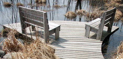 Benches on the boardwalk at Mass Audubon Wachusett Meadow Wildlife Sanctuary