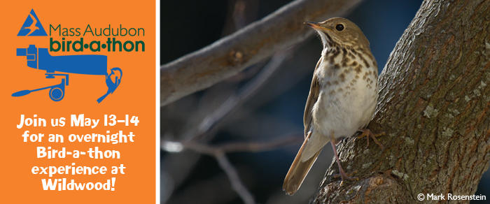 May 13-14 Bird-a-thon overnight.