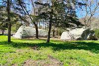 The new clearing on the Boulder Loop trail at Allens Pond Wildlife Sanctuary
