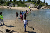 Children playing in a channel of water