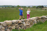 Young siblings on stone wall at Allens Pond Wildlife Sanctuary