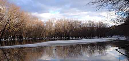 The river at Arcadia Wildlife Sanctuary in winter. 
