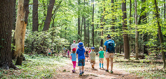 Arcadia campers hiking a trail