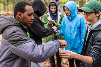 Students testing forest soils with an outdoor cup experiment © Phil Doyle