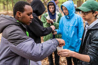 Students testing forest soils with an outdoor cup experiment © Phil Doyle