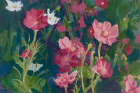"Cosmos flowers" painting © Ella Condon