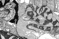Species of Mt Tom illustration © Sophie Argetsinger