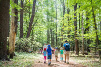 Arcadia campers hiking a trail