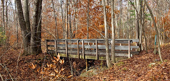 Wood trail bridge in fall © Tod McKenna