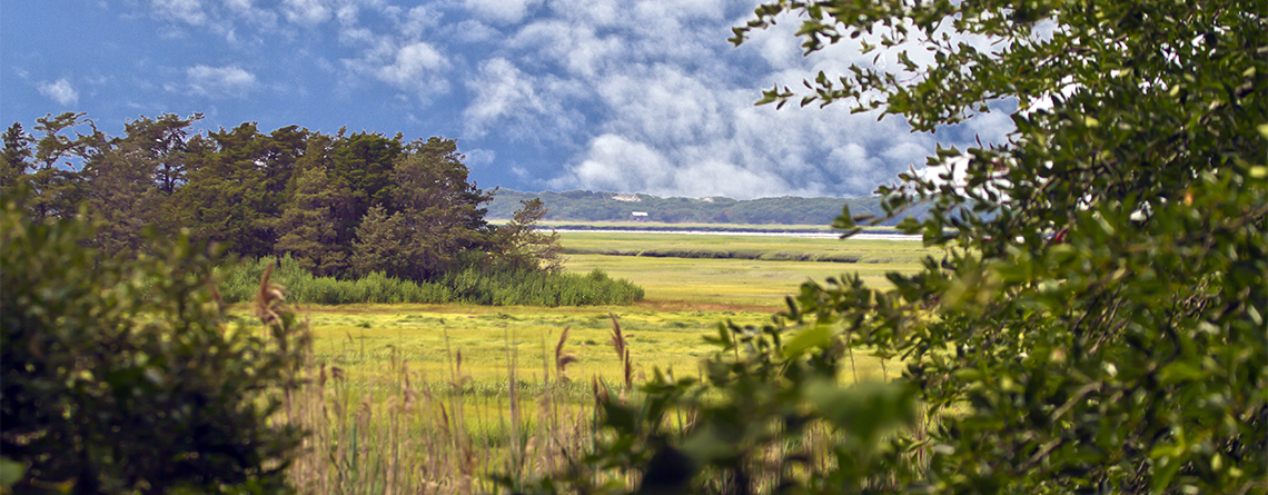 Barnstable Great Marsh Wildlife Sanctuary © CJ Gregory