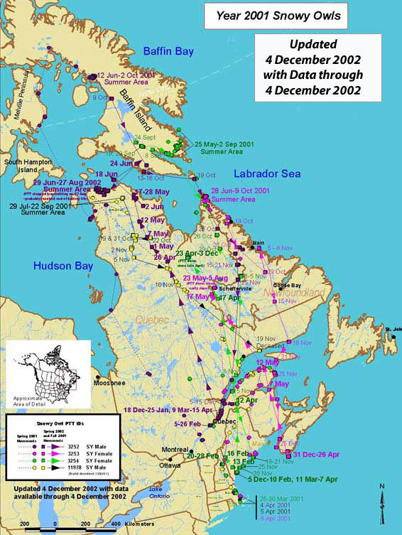 2001 Snowy Owls: Map with data through December 2, 2002