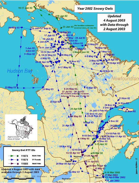 2002 Snowy Owls: Map with data through August 4, 2003