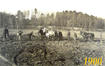 1900 - Wetland Filled