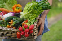 Carrying a harvest basket of fresh veggies