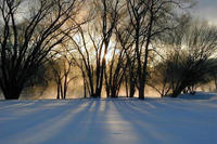 Winter Solstice light at the BNC