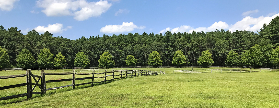Former agricultural field at Brewster's Woods Wildlife Sanctuary