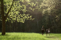 Family walking a trail at Brewster's Woods