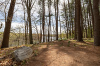 Brewster's Woods Trail and Dedication Stone