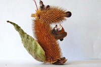 Squirrel ornament made from natural materials