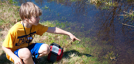 Boy pointing at a frog in the water