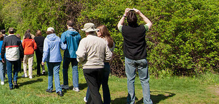Birding at Broadmoor Wildlife Sanctuary