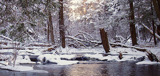 Stream in winter at Broadmoor Wildlife Sanctuary