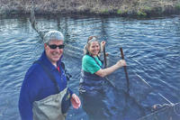 Conducting herring research in the Coonamessett River © Linda Deegan