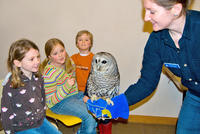 Kids get up-close with a barred owl at Broadmoor Wildlife Sanctuary