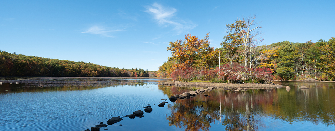 View across the pond in early autumn at Burncoat Pond Wildlife Sanctuary