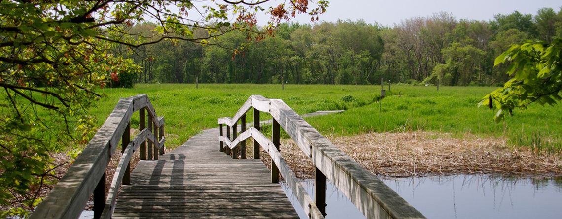 Bridge over stream at Daniel Webster Wildlife Sanctuary © B. Messinger