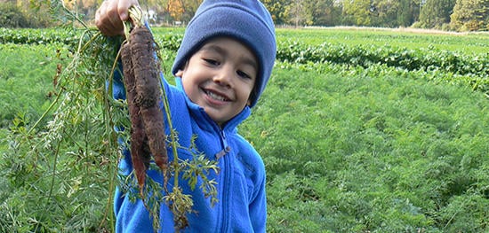 Boy with his freshly-dug carrots