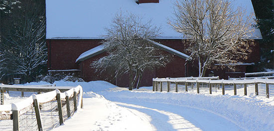 The barn in winter at Drumlin Farm Wildlife Sanctuary
