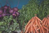 Beets and carrots from Drumlin's Summer CSA